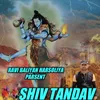 Shiv Tandav